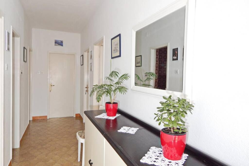 Apartment Eli Pag Town Buitenkant foto